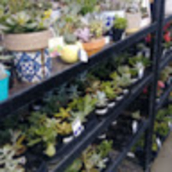 Meet your Posher, Alyssa - Picture 1 of 1